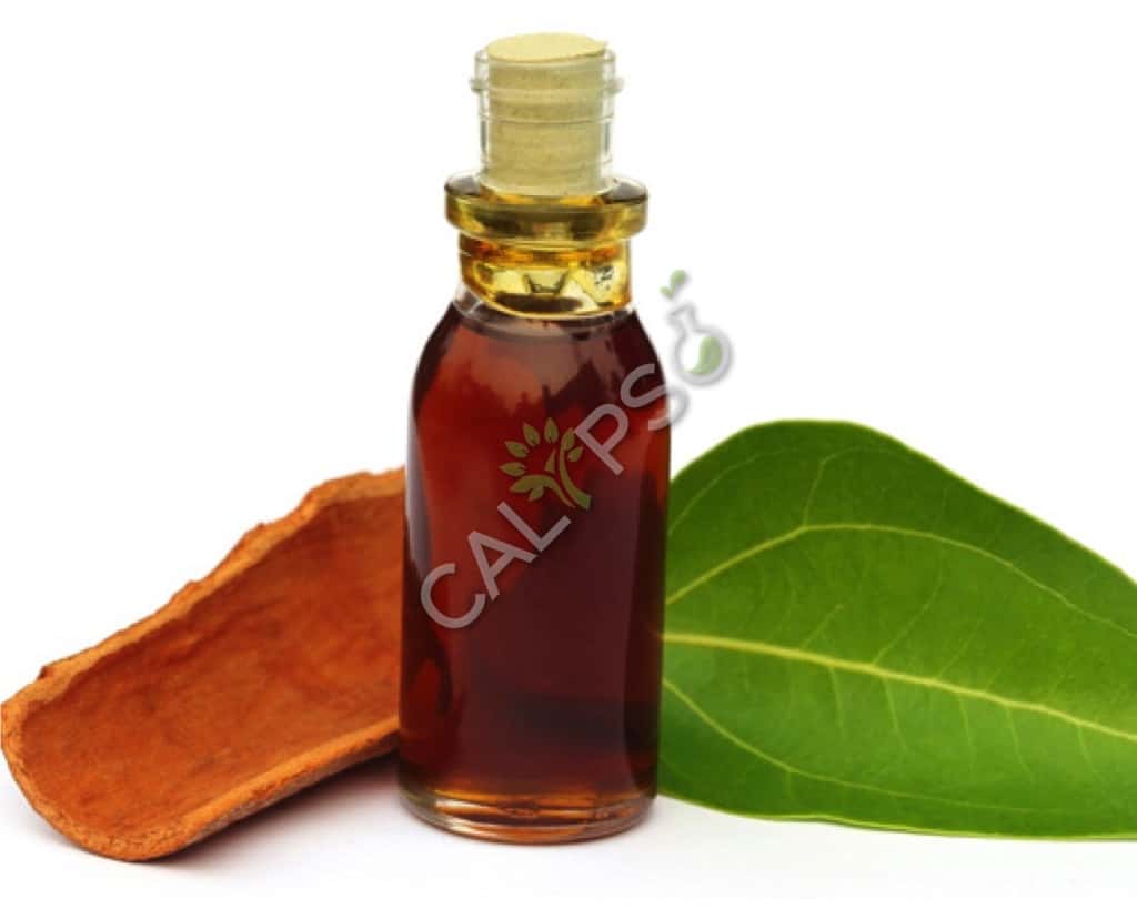 Buy Pure Cassia Essential Oil